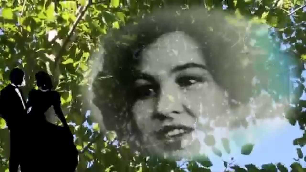Тополя. Татьяна Халяпова.