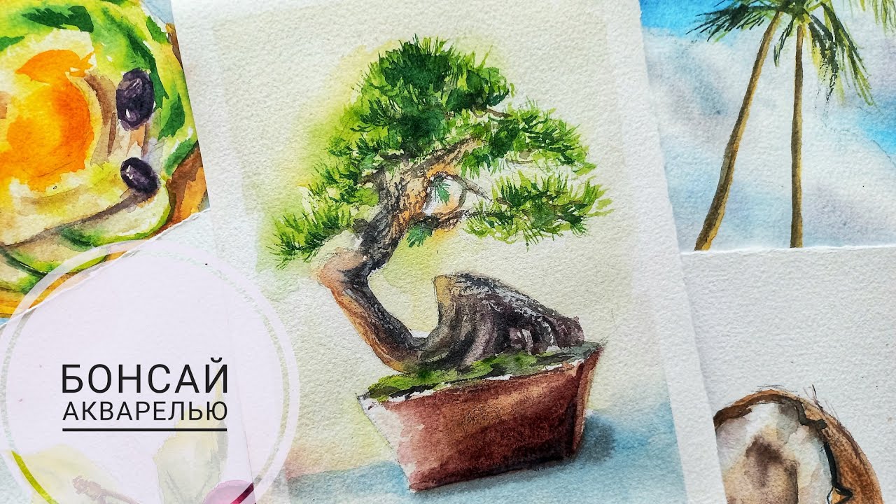 Рисуем бонсай. Уроки рисования акварелью. Watercolour Painting Tutorial.