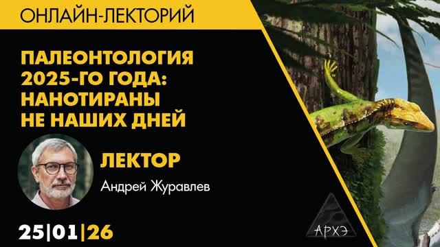 Итоги 2025