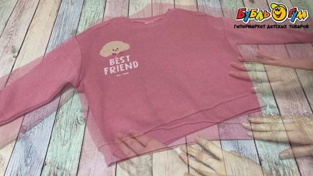 Толстовка Lanson Kids утепленная с эластичными манжетами и круглым вырезом с вышивкой пуделя и надписью BEST FRIEND розовая - видео