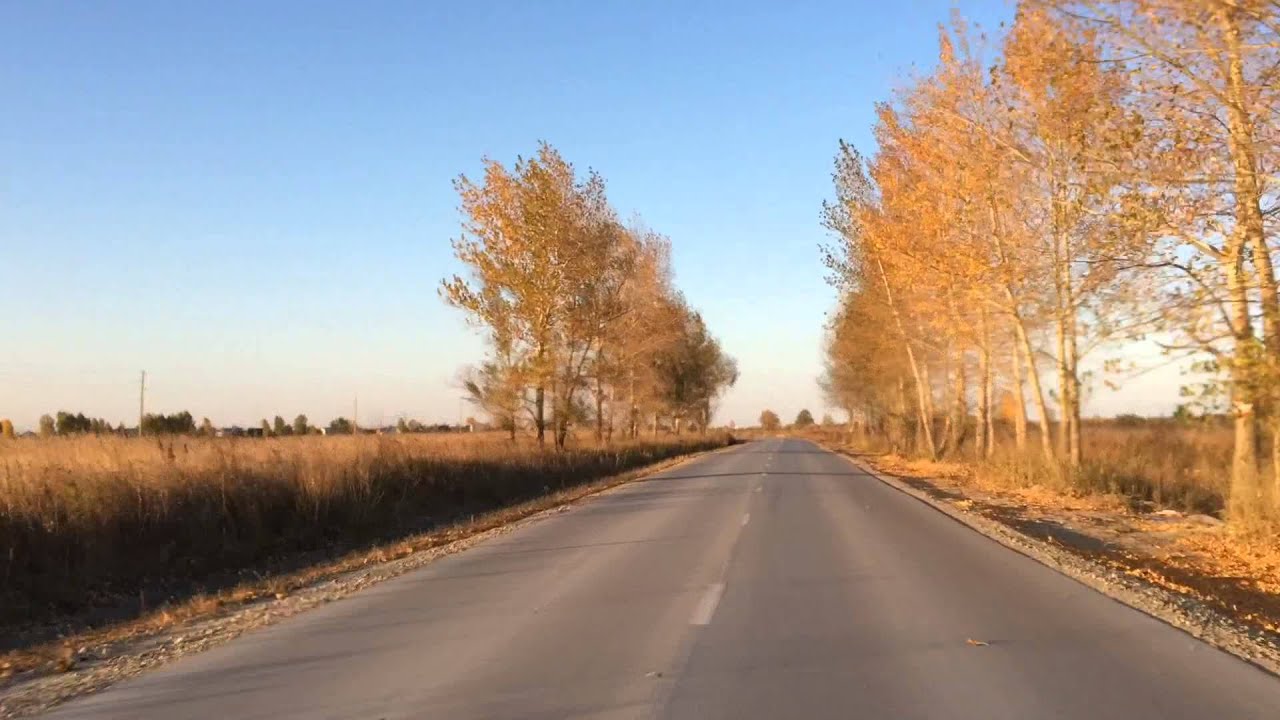 Осенняя дорога