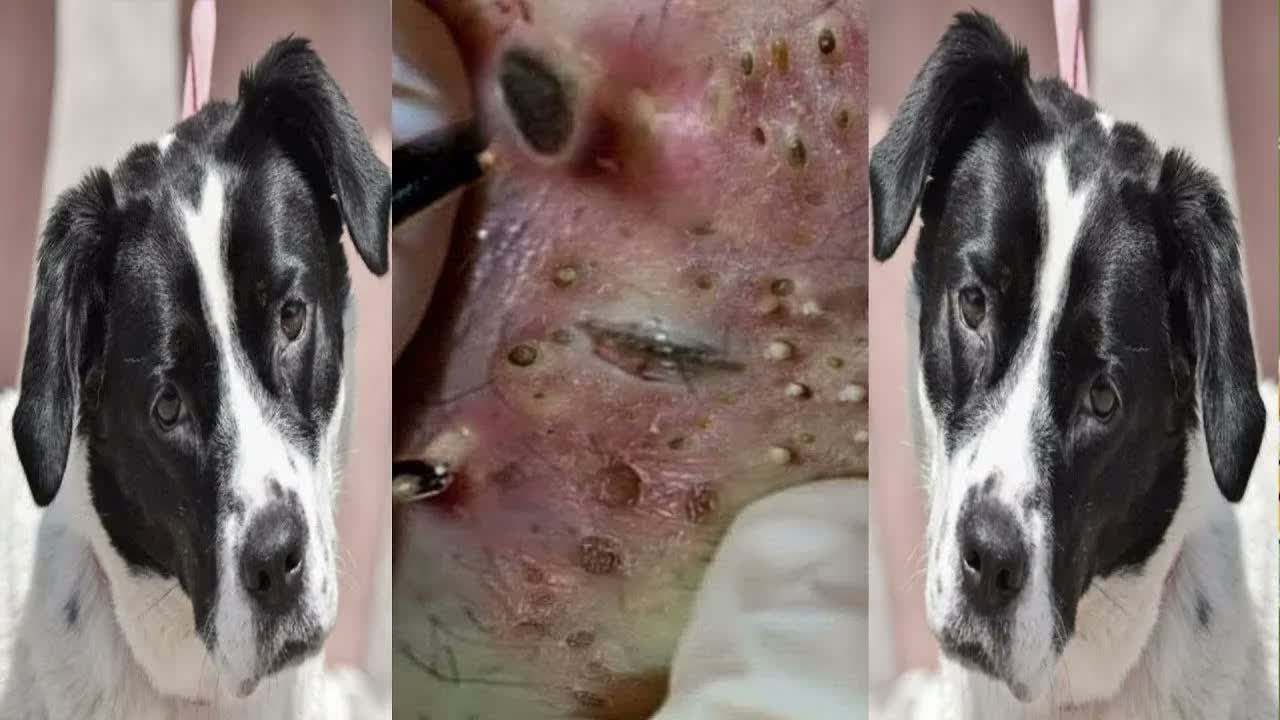 Relax Squeezing Out Blackheads #39 Черные точки