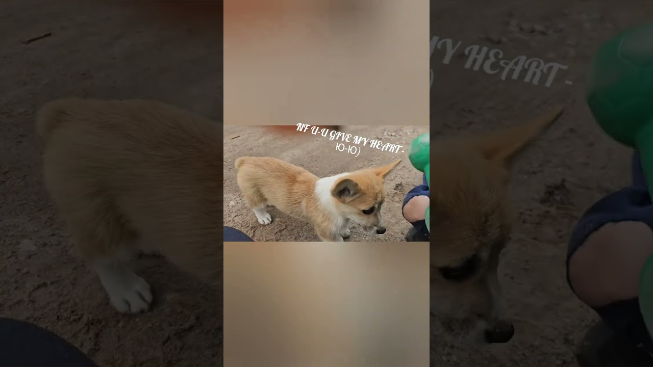 Красотка Ю-Ю присматривает мам и пап