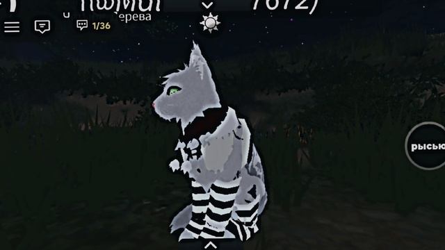 коты воители