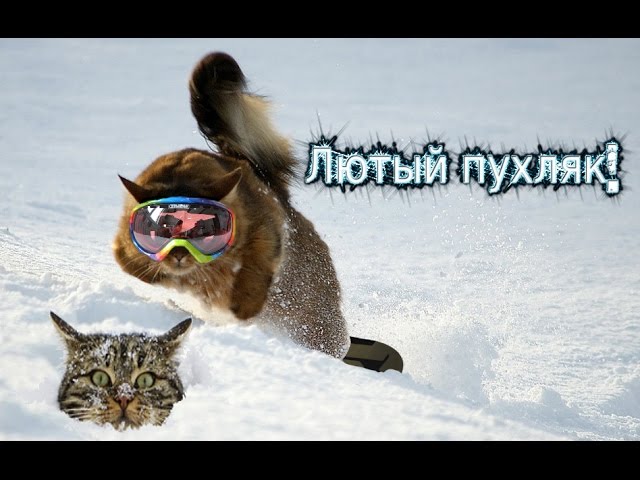 Палка-снималка #3 Blizzard Mountain