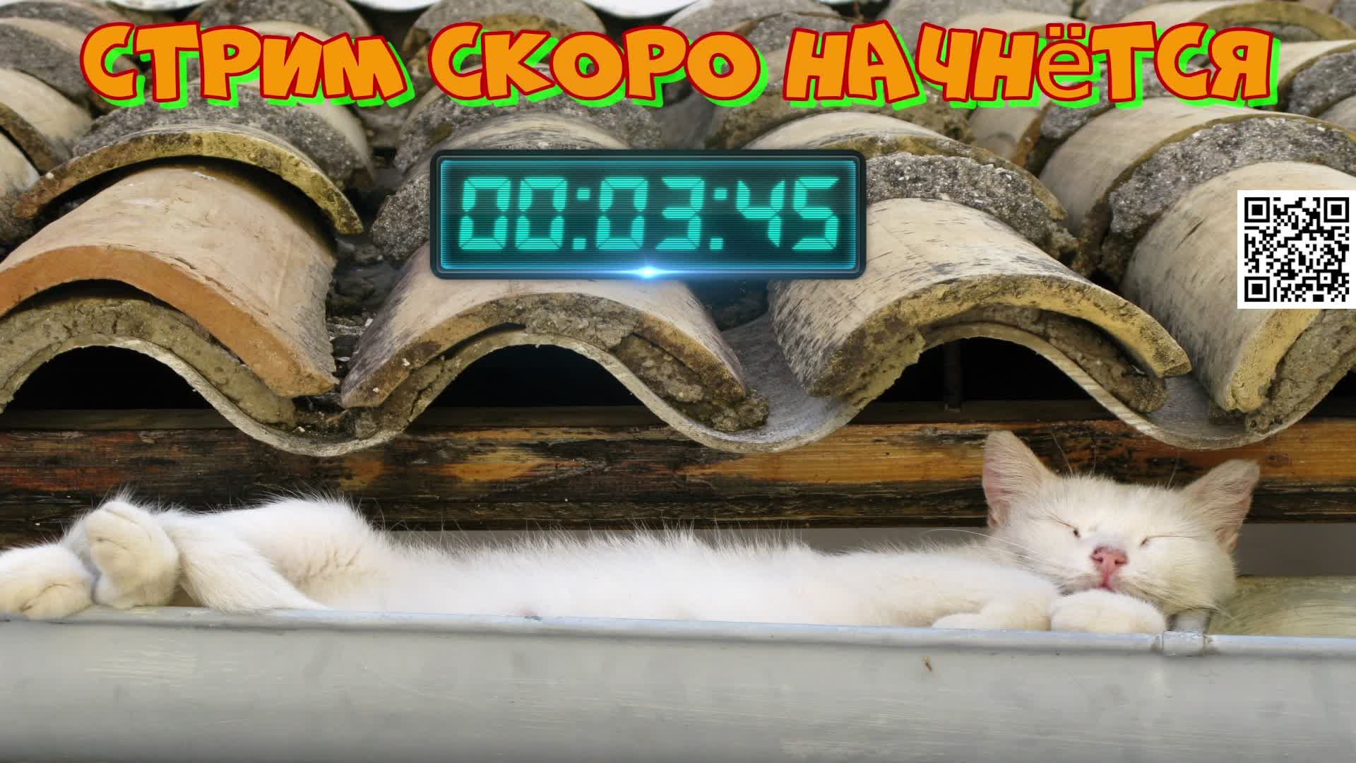 LIVE: KuC__KuC