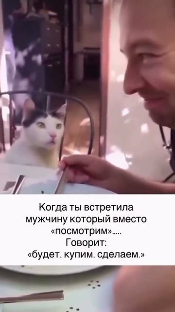 MOV_20260929_070810_806