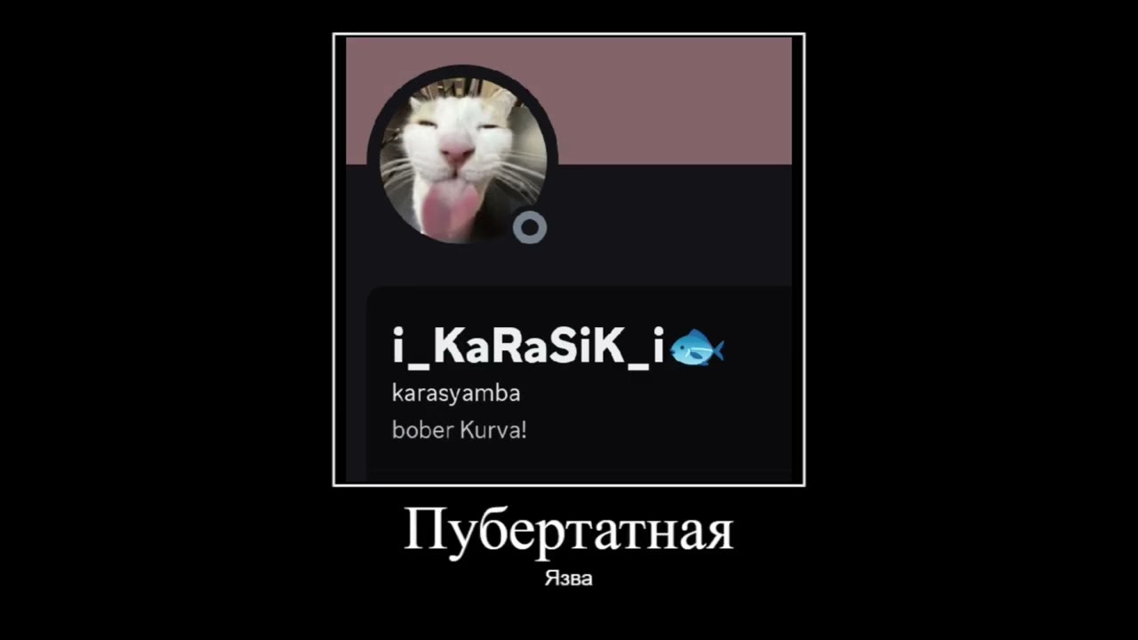 В главных ролях Пули от дедули..