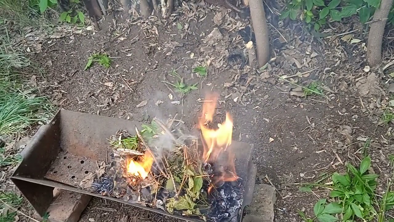 Дождь шашлык и зелень