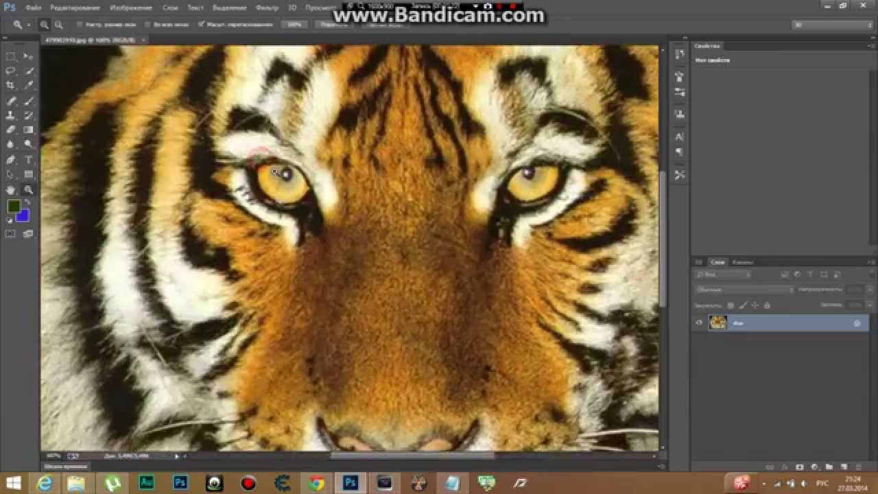 обзор Adobe Photoshop CC