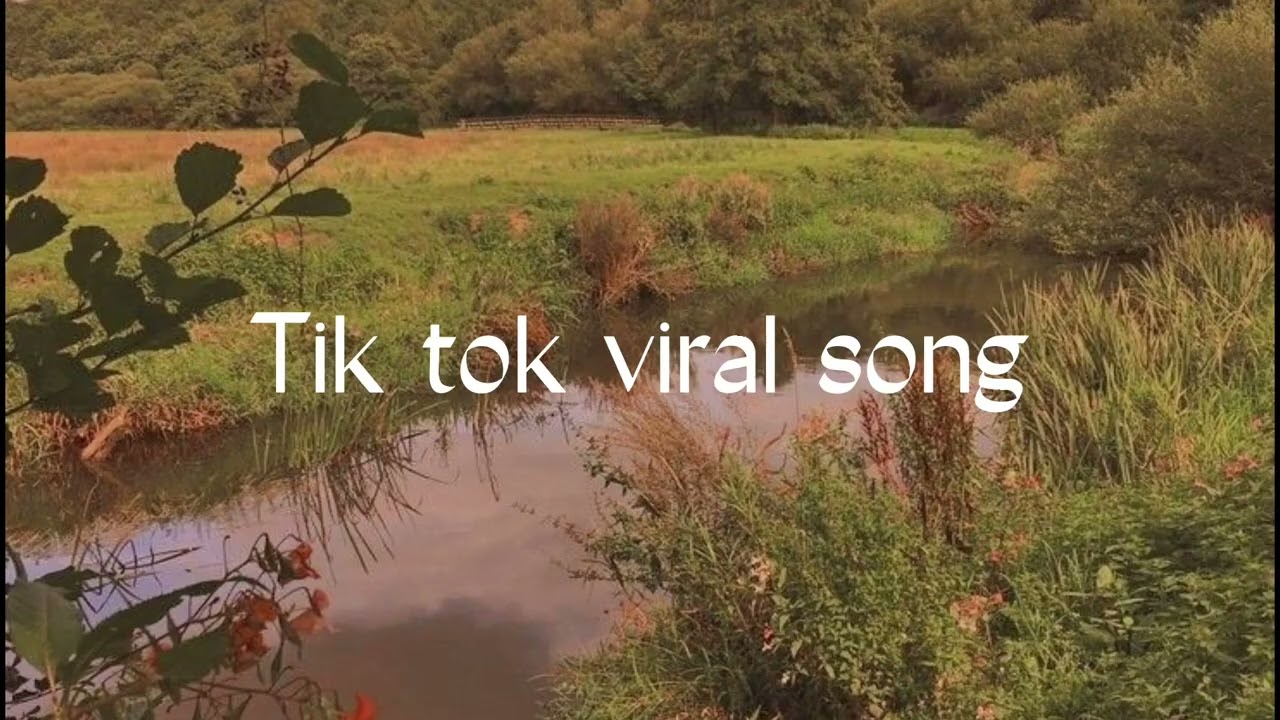 Tik tok boral song  Вирусные треки тик тока