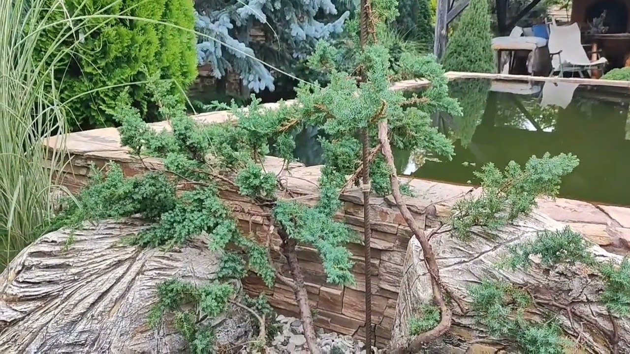 Арт бетон скала. Ландшафтный дизайн новая композиция