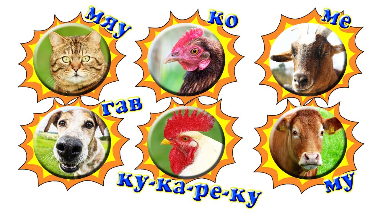 Угадай Звуки Животных с FerRoma   Обучающий Мультфильм для Малышей