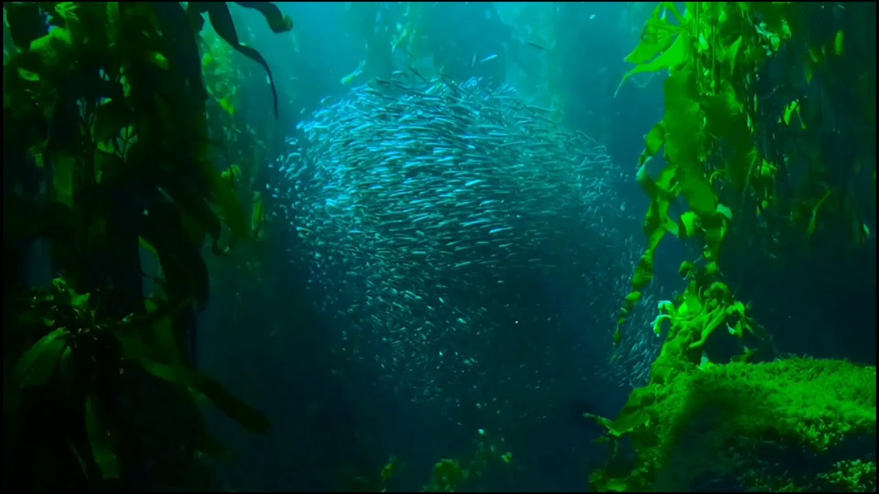 Relax_for_your_soul Природа. Музыка для расслабления.