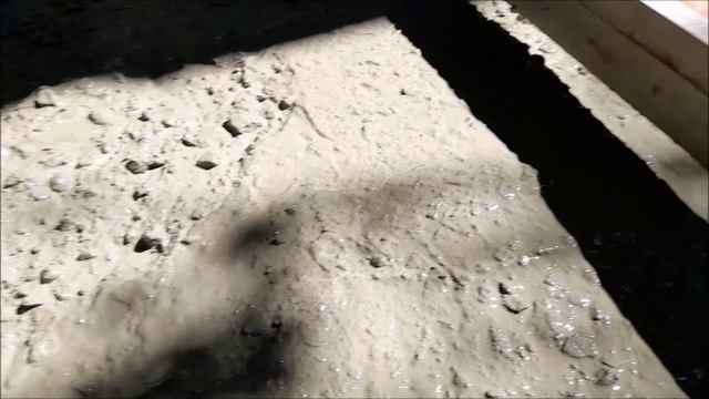 Дорожки