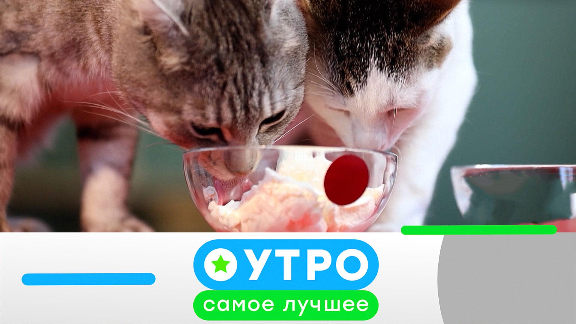 «Утро. Самое лучшее»: 30 сентября 2026 года
