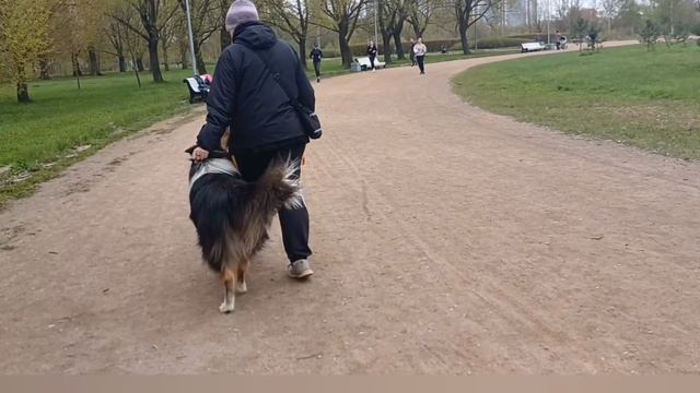 Послушание 2024