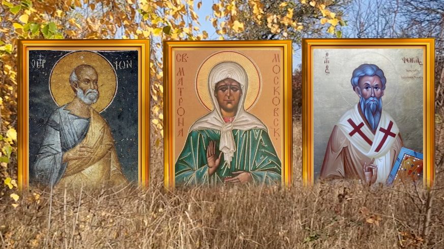 5 октября день Ионы. В этот день осина именинница и у нее можно попросить поддержки.