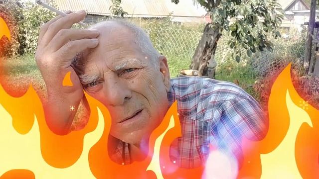 Впечатления