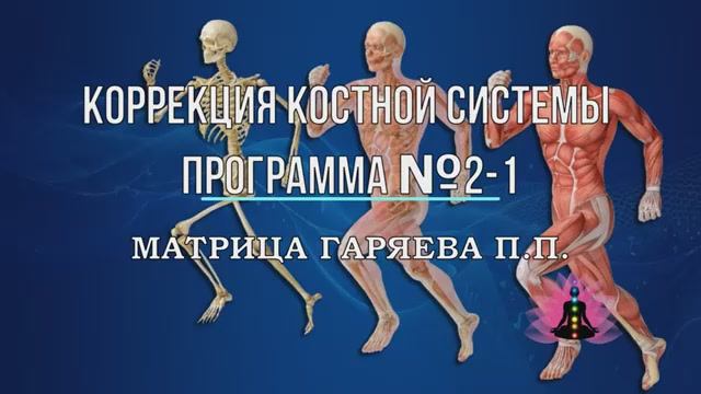 МАТРИЦЫ ГАРЯЕВА П.П.