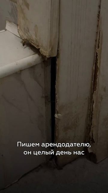 Квартира за 40 тысяч превратилась в кошмар