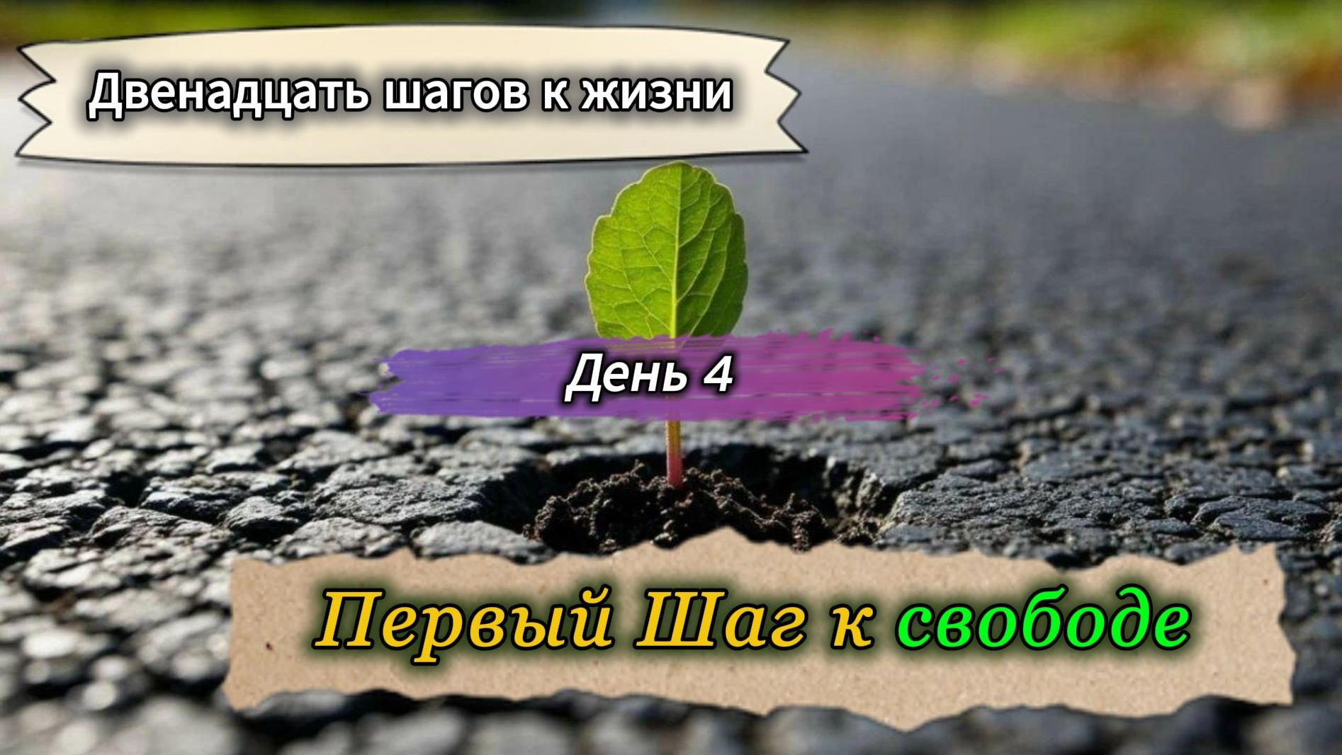 ДВЕНАДЦАТЬ ШАГОВ К ЖИЗНИ