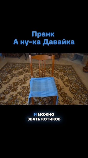 Колбасный стул "ПРАНК А НУ-КА ДАВАЙ-КА"