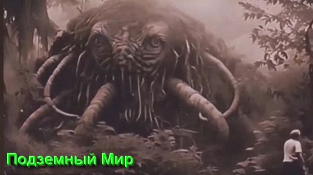Мистические Истории