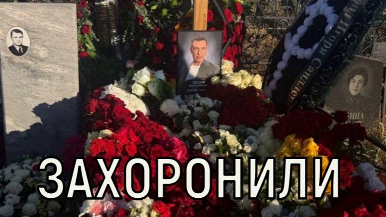 Из жизни звёзд