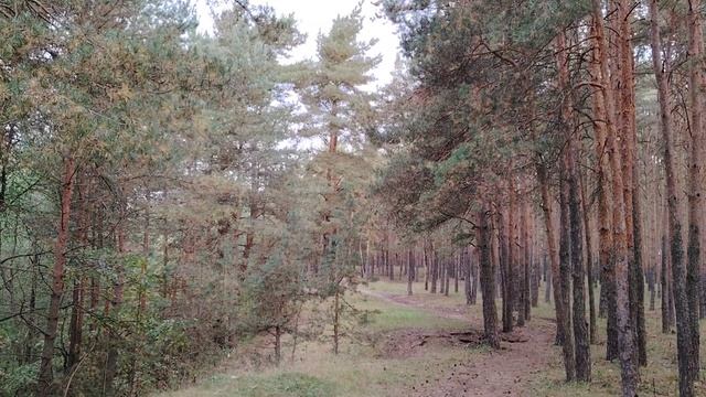 Немного о финансовой грамотности