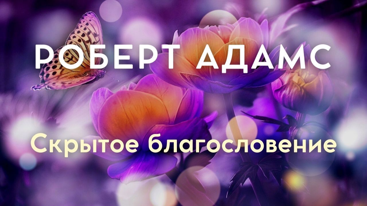 Роберт Адамс