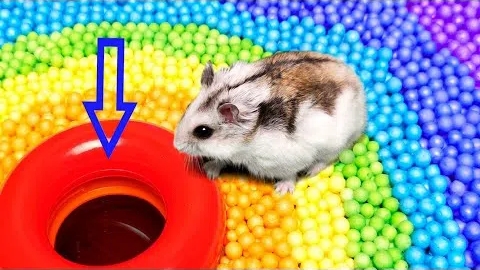 Мультики для детей .Детские мультики.Яркие мультики