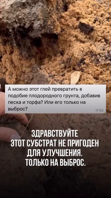 Глина, песок и торф: почему это не работает? 🚫🚜 #садоводство #огород