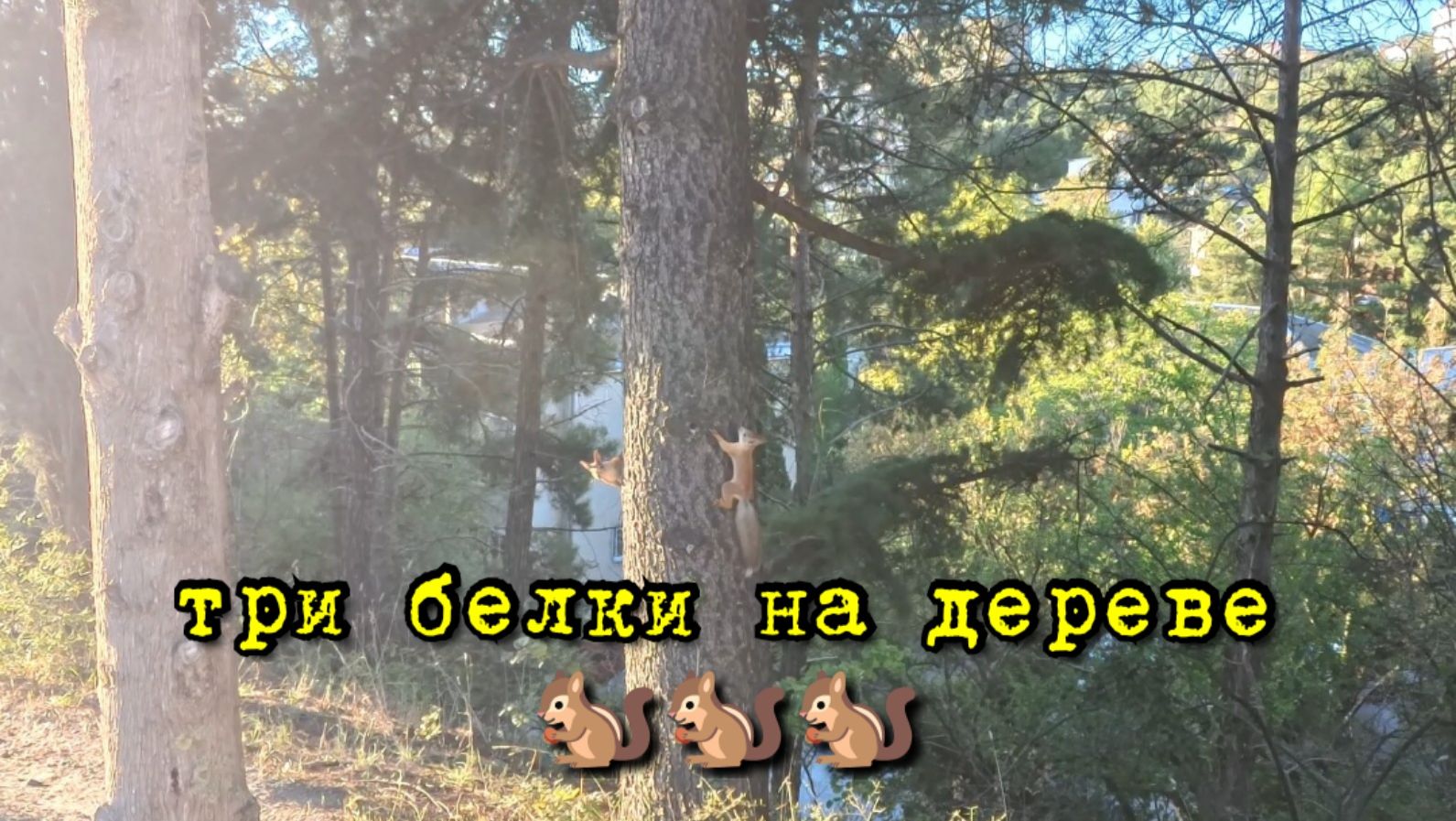 Снятое за кадром