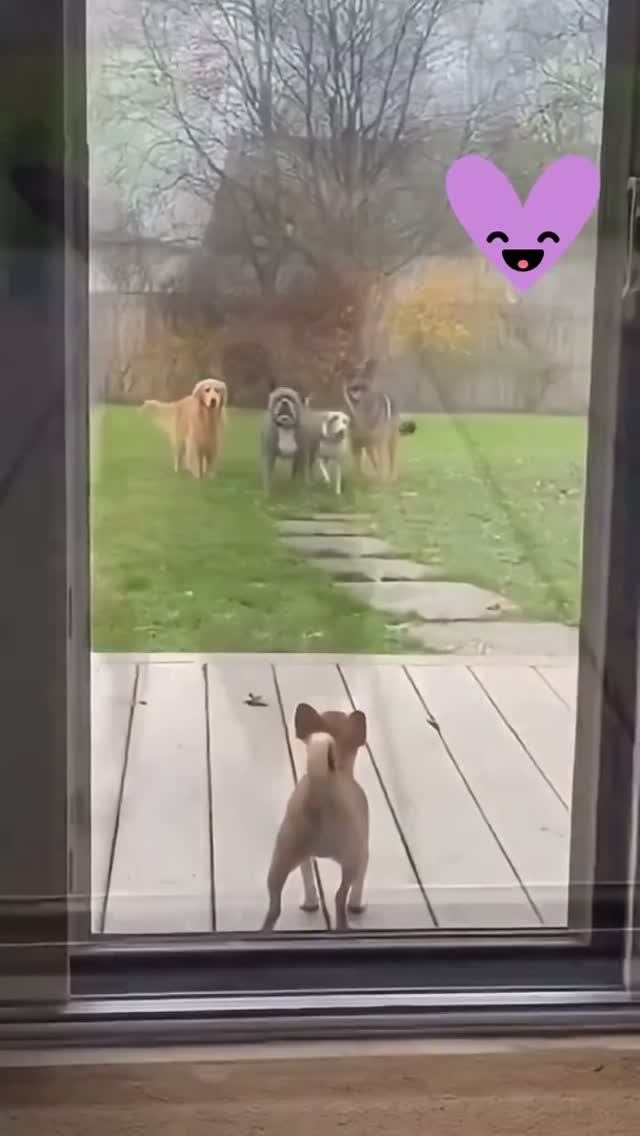 Смелее не 🤣 бывает