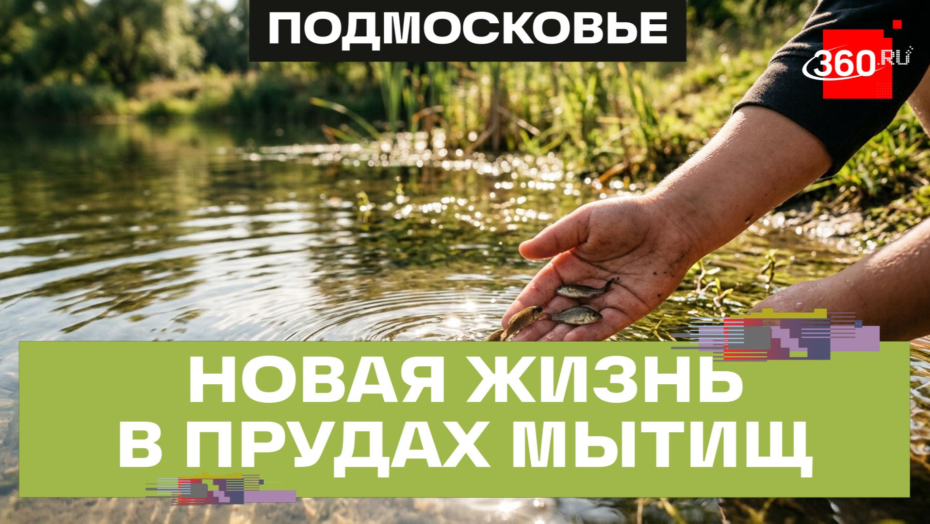 1500 мальков карася выпустили в очищенные пруды в Мытищах