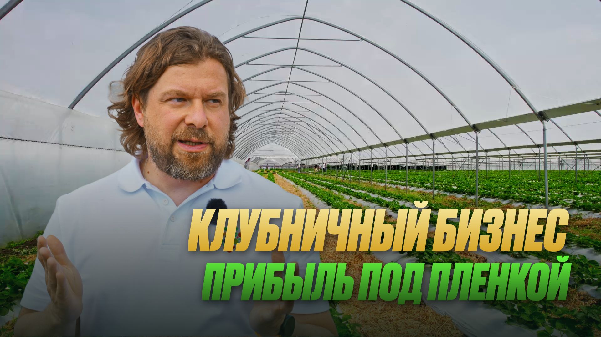 Клубника в туннелях: новые возможности для фермеров