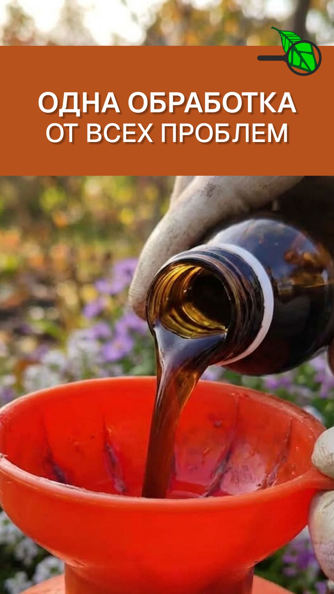 💥 ОДНА ОБРАБОТКА ОТ ВСЕГО! Выжигает все болезни и вредителей за один день. Осенняя обработка сада
