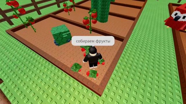 гроу э гарден