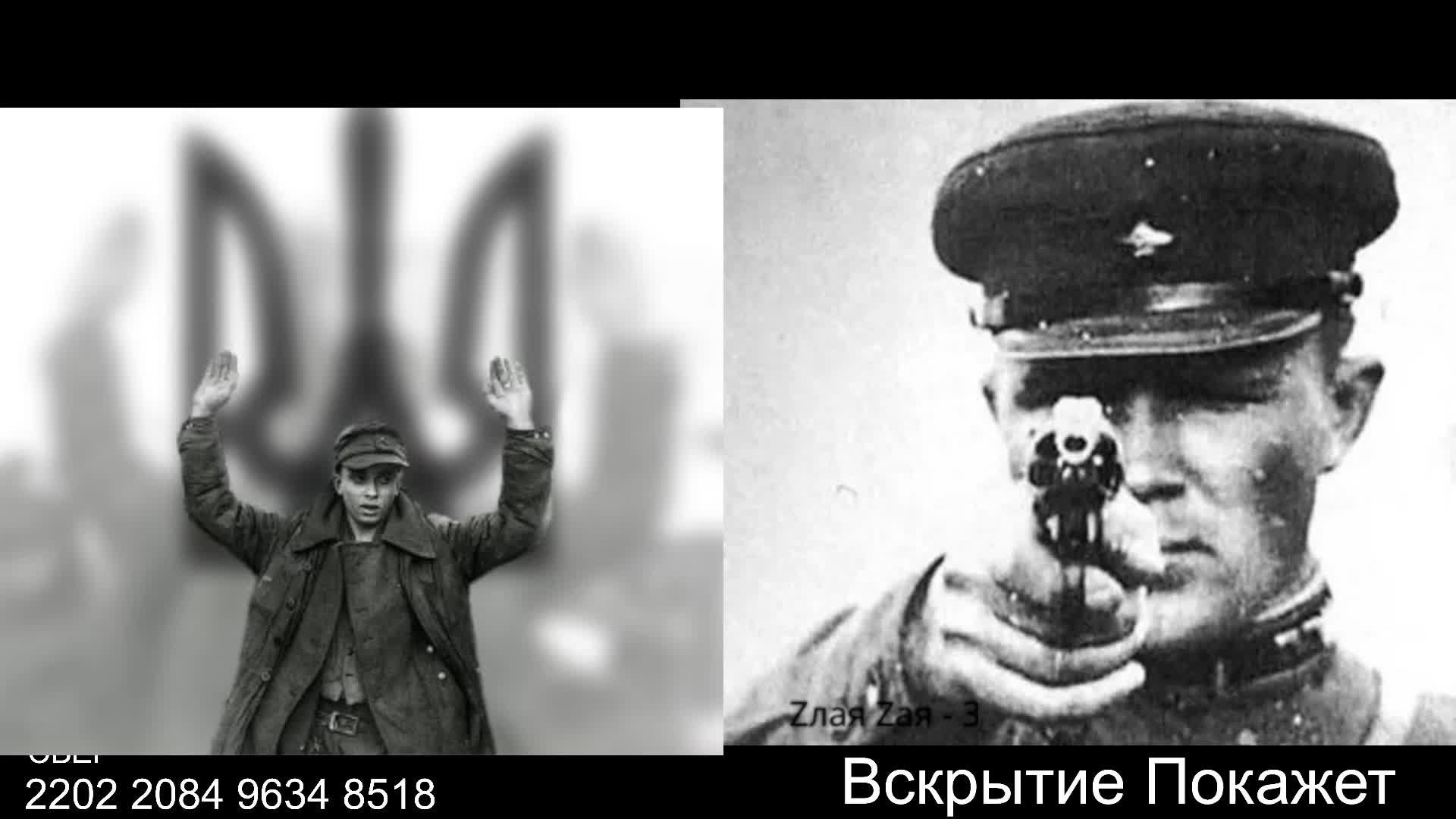 Стрим из Центра по сумеркам