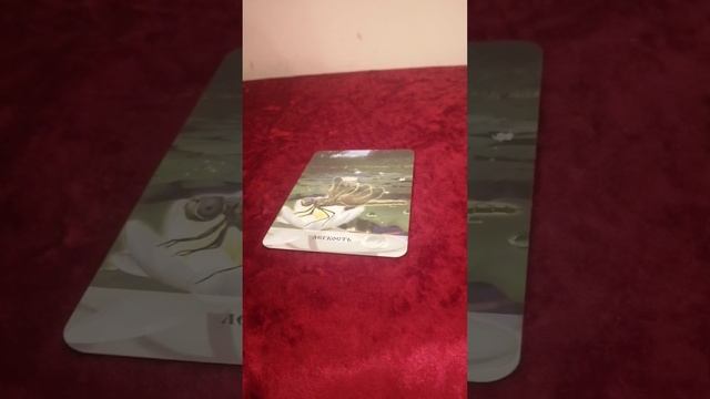 🔥🔥🔥 Какие качества в Вас видят окружающие люди ? Читаем энергетический поток на оракуле 🔥🔥🔥