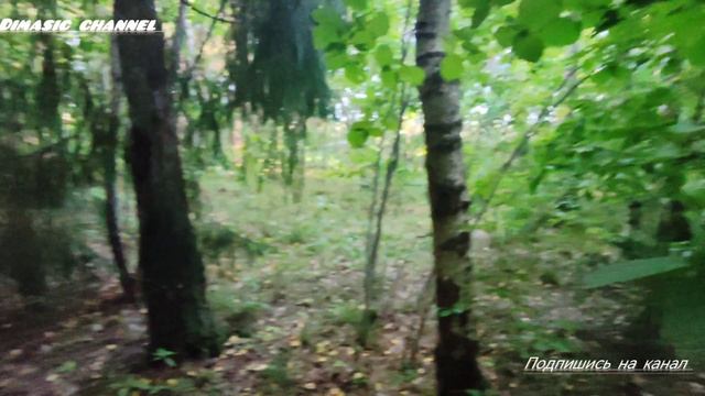 Все видео