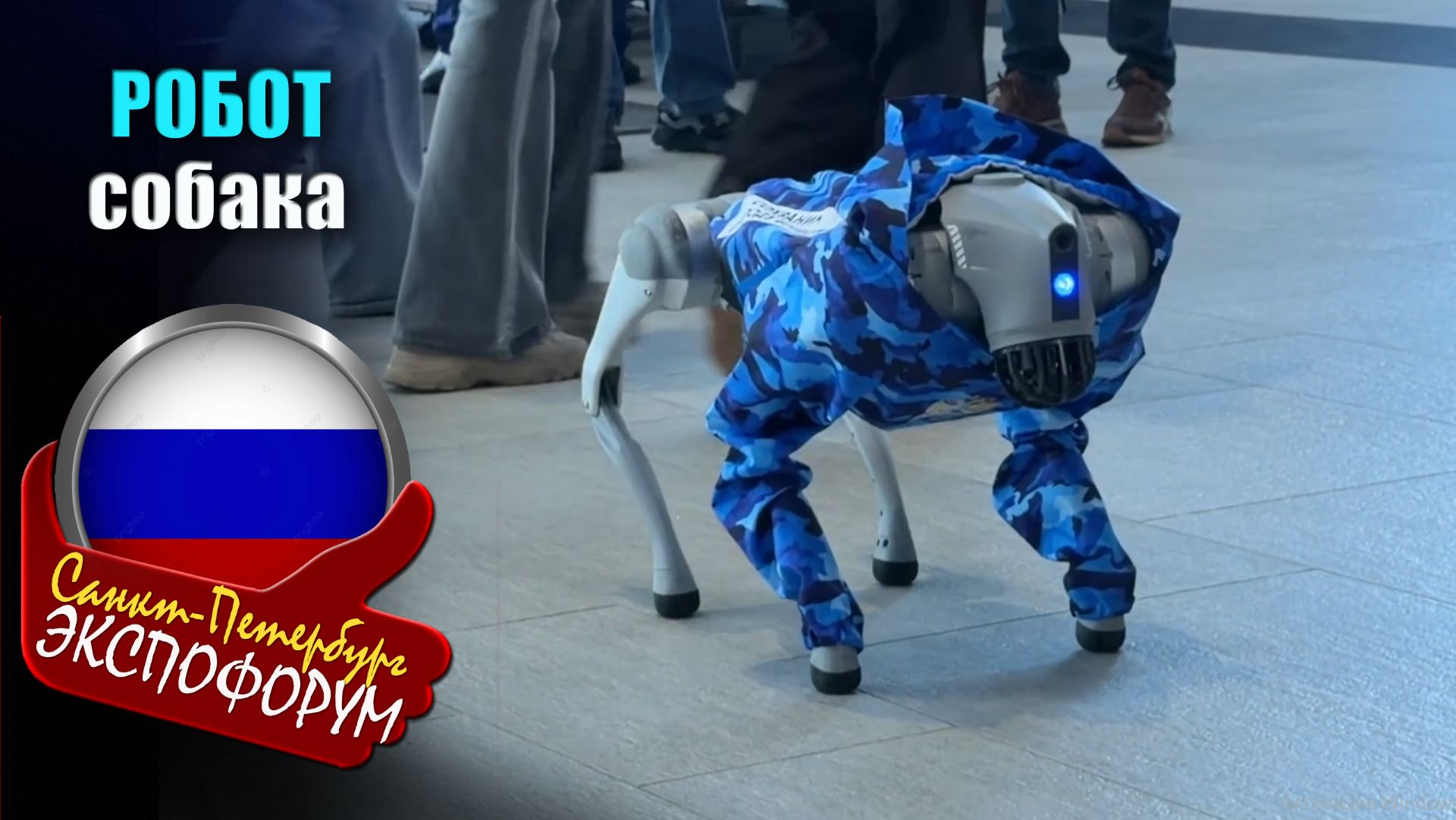 Робот-собака Unitree Go2 Pro на Рыбопромышленном форуме 2026, возможности и применение