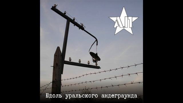 Альбомы