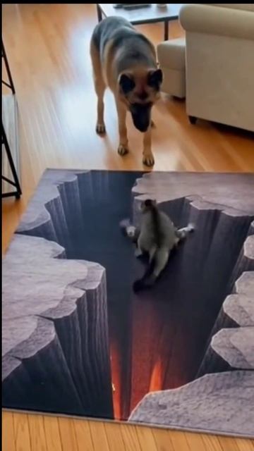 Котейка и пропасть