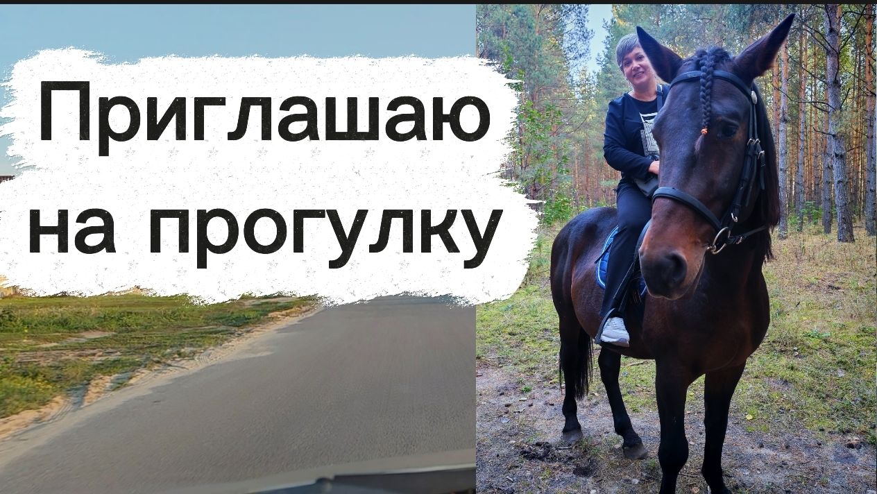 Приглашаю на прогулку