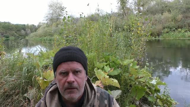 Рыбалка на речке в конце сентября на поплавок