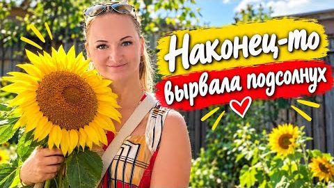 30 сентября 2026 г.