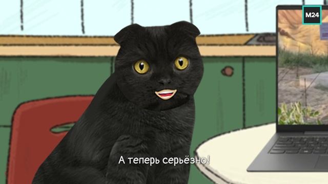 Академия московского зоопарка | Кот Бублик