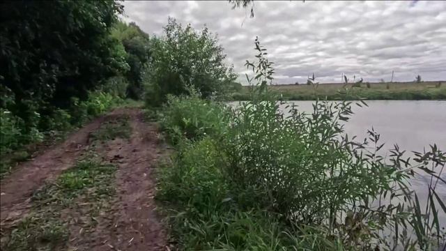Поездки из Кораблевки